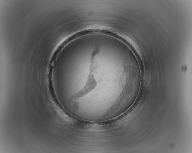 X0000097660783200802291425