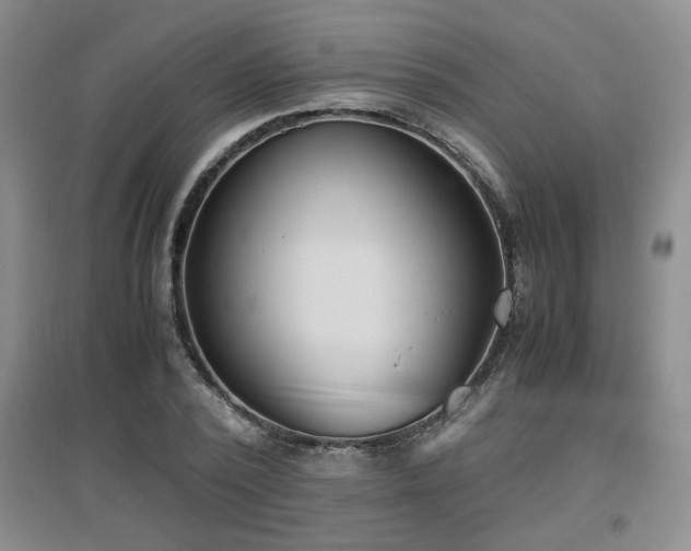 X0000097660784200802291425