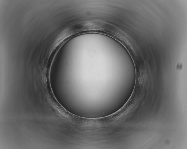 X0000097660786200802291425