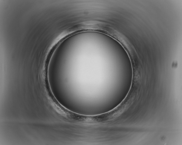 X0000097660787200802291425