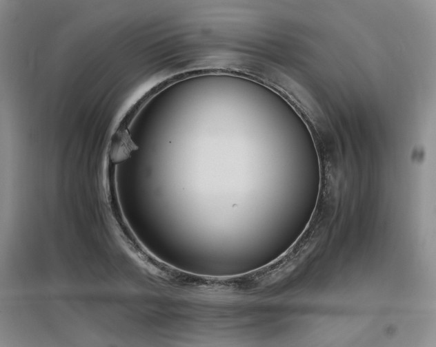 X0000097660788200802291425