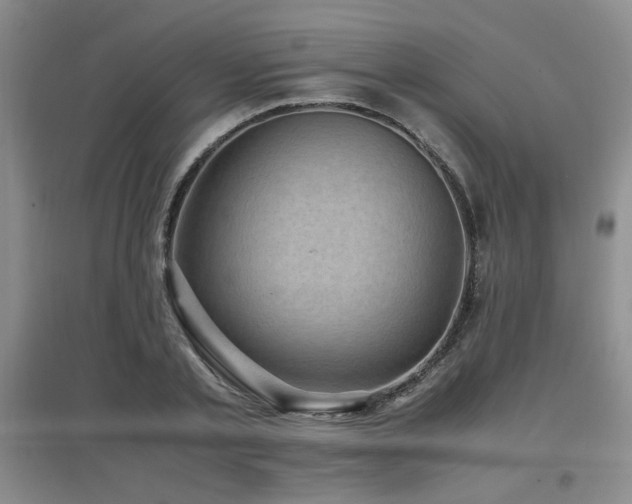 X0000097660789200802291425
