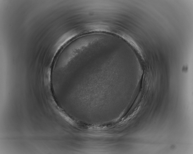 X0000097660790200802291425