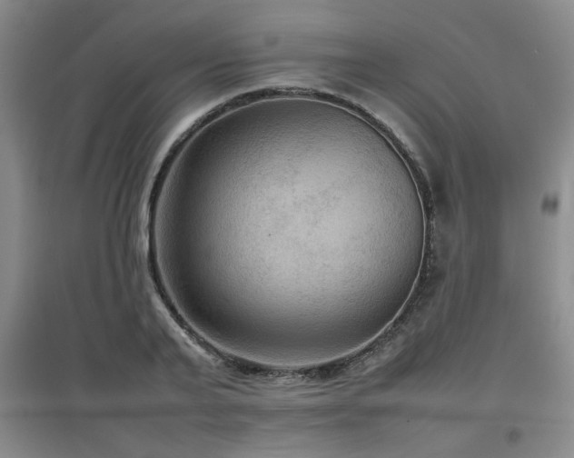 X0000097660791200802291425