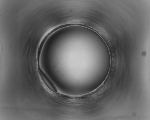 X0000097660792200802291425