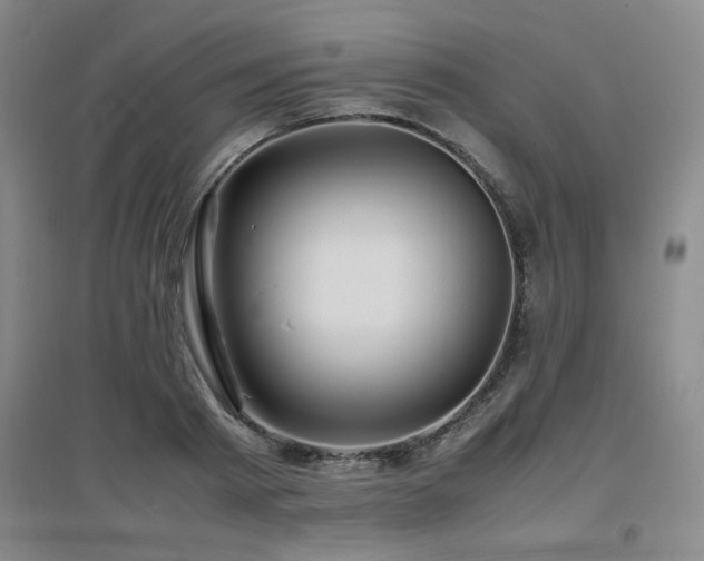X0000097660793200802291425