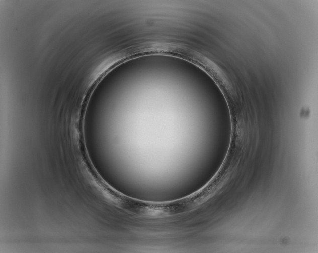 X0000097660794200802291425