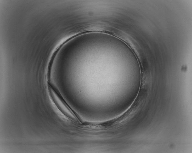 X0000097660795200802291425