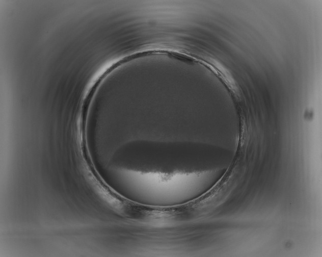 X0000097660796200802291425