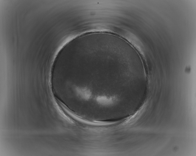 X0000097660797200802291425