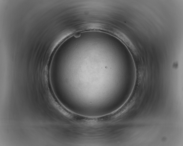 X0000097660798200802291425