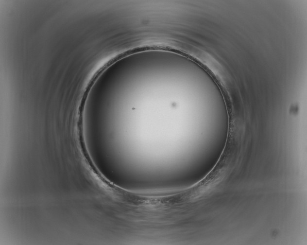 X0000097660799200802291425