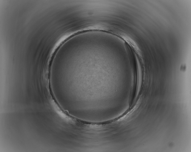 X0000097660800200802291425