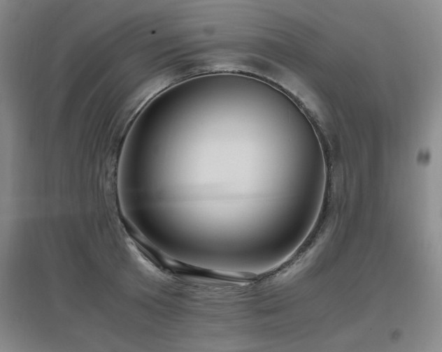 X0000097660801200802291425