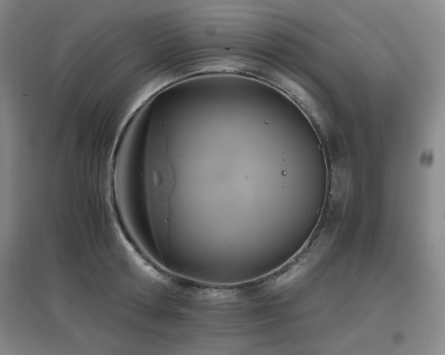X0000097660802200802291425