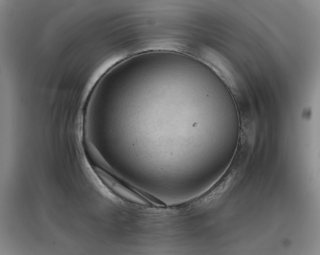 X0000097660804200802291425