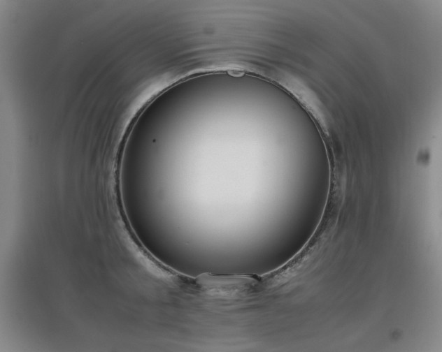 X0000097660805200802291425
