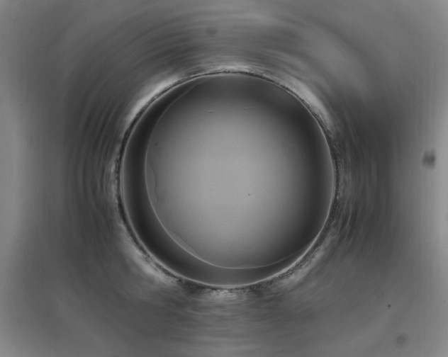 X0000097660806200802291425