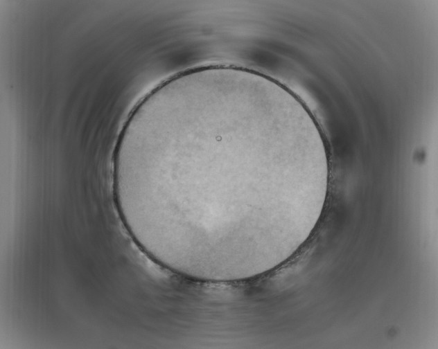 X0000097660807200802291425