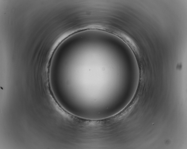 X0000097660808200802291425