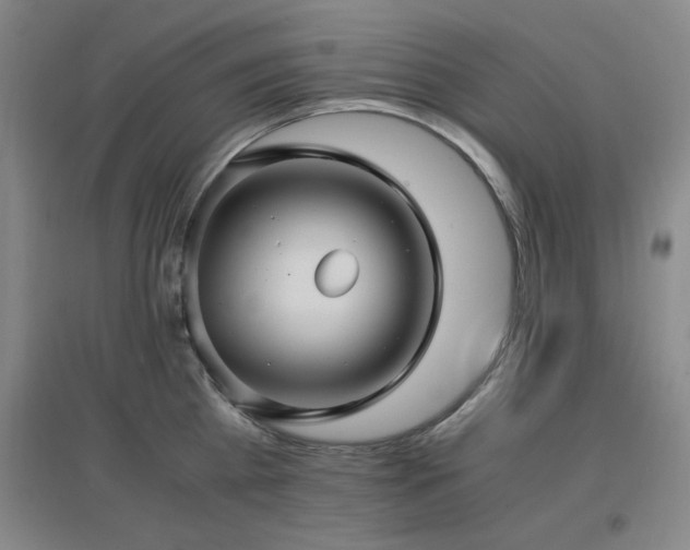 X0000097660809200802291425