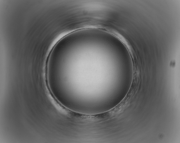 X0000097660811200802291425