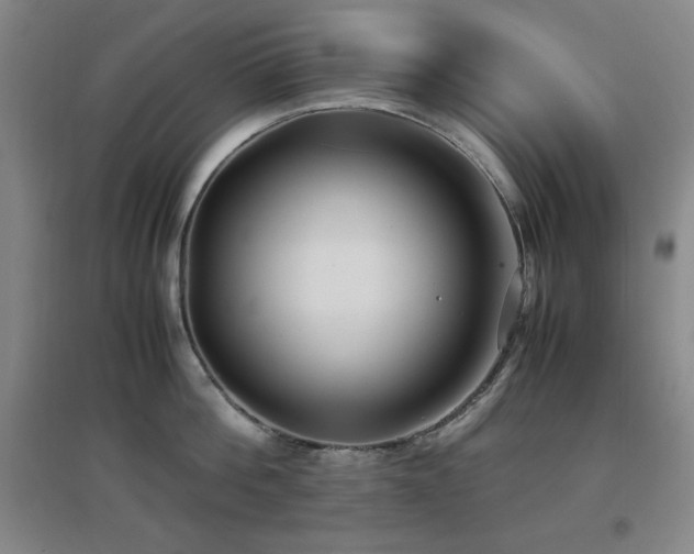 X0000097660812200802291425
