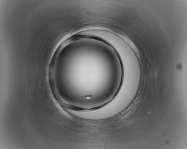 X0000097660813200802291425