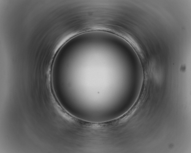 X0000097660814200802291425
