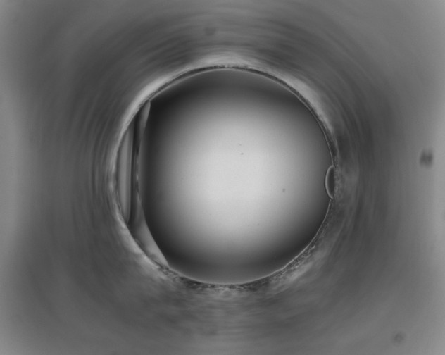 X0000097660815200802291425