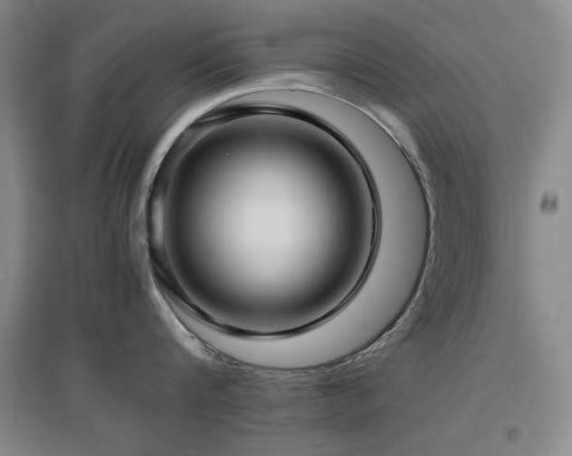 X0000097660816200802291425