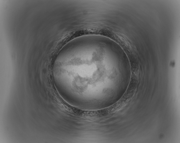X0000097660817200802291424