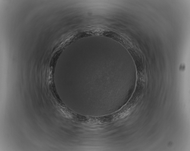 X0000097660818200802291424