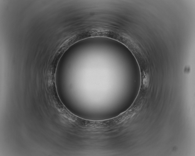 X0000097660819200802291424