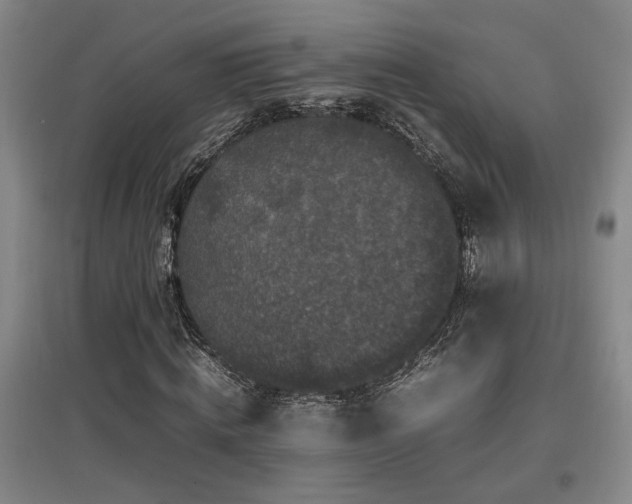 X0000097660820200802291424