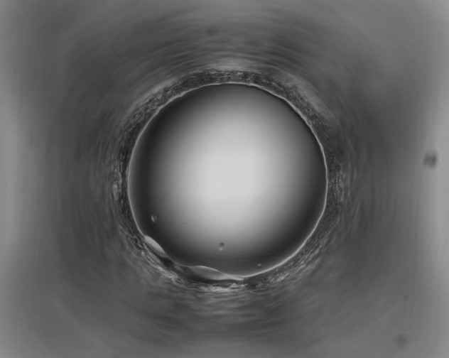 X0000097660821200802291424