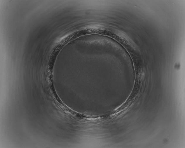 X0000097660822200802291424