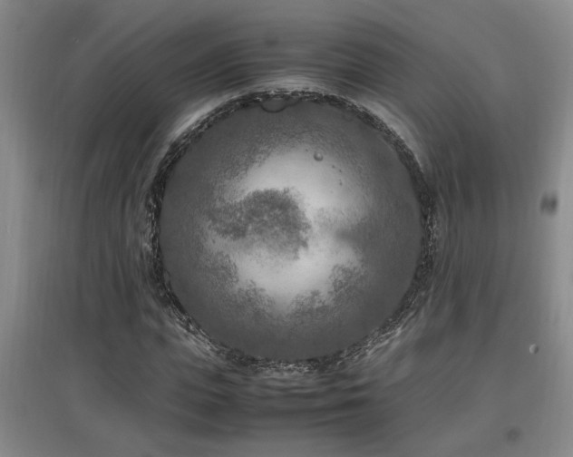 X0000097660823200802291424