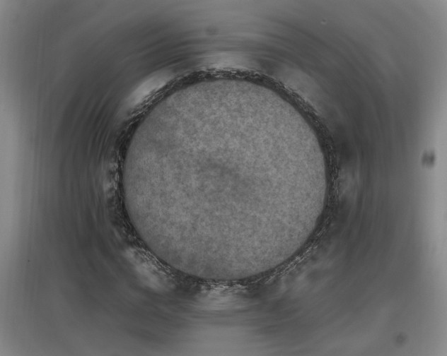 X0000097660824200802291424