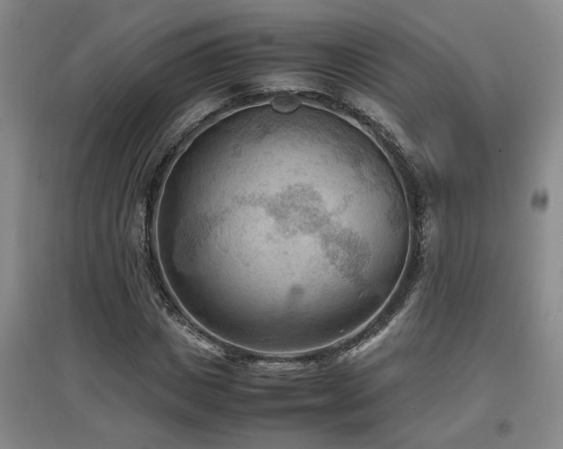 X0000097660825200802291424