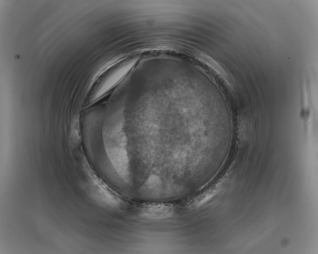 X0000097660826200802291424