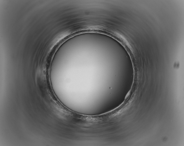 X0000097660827200802291424