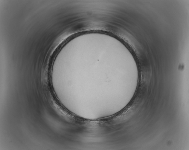 X0000097660828200802291424