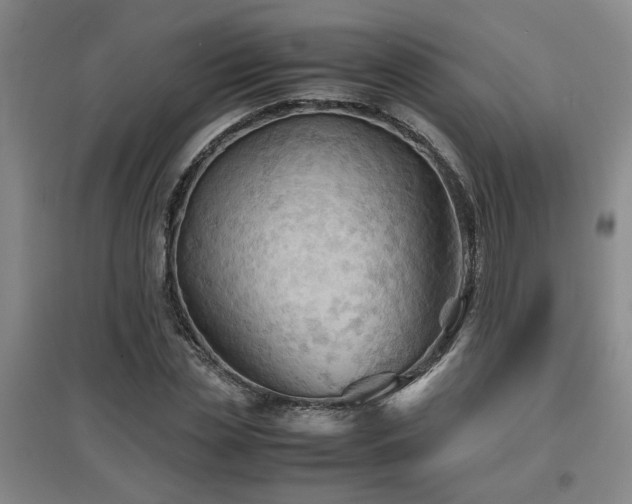 X0000097660829200802291424
