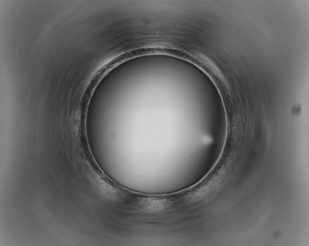 X0000097660831200802291424