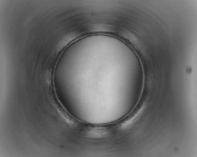 X0000097660833200802291424