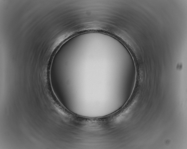 X0000097660834200802291424