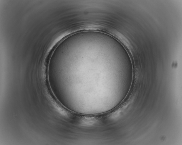 X0000097660835200802291424