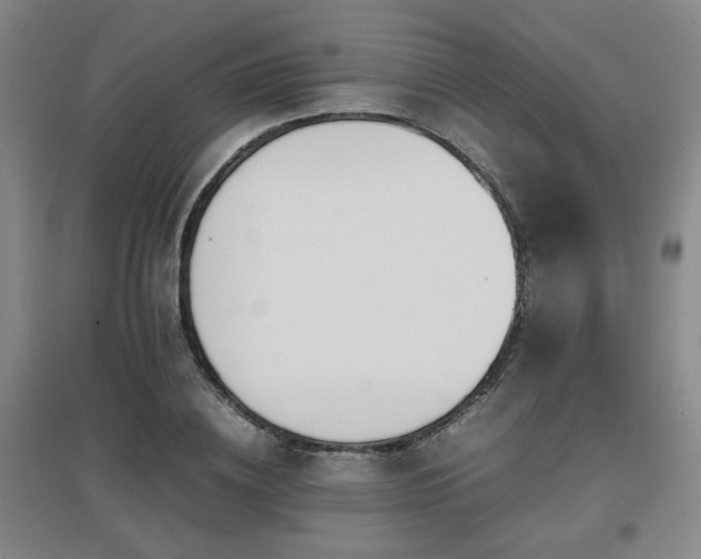 X0000097660836200802291424