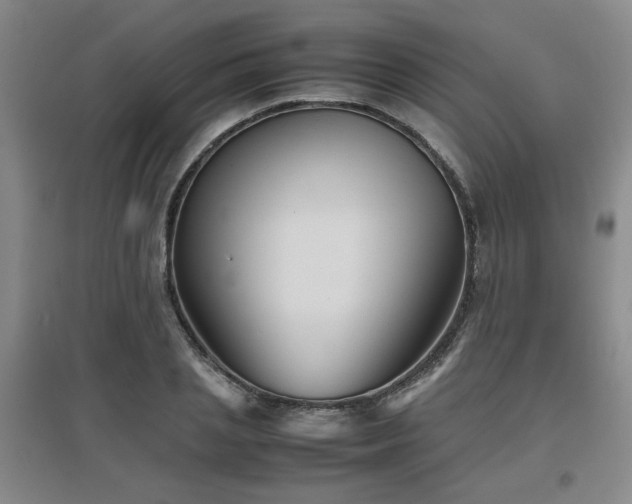 X0000097660837200802291424